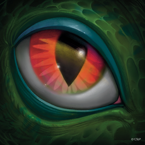 eye